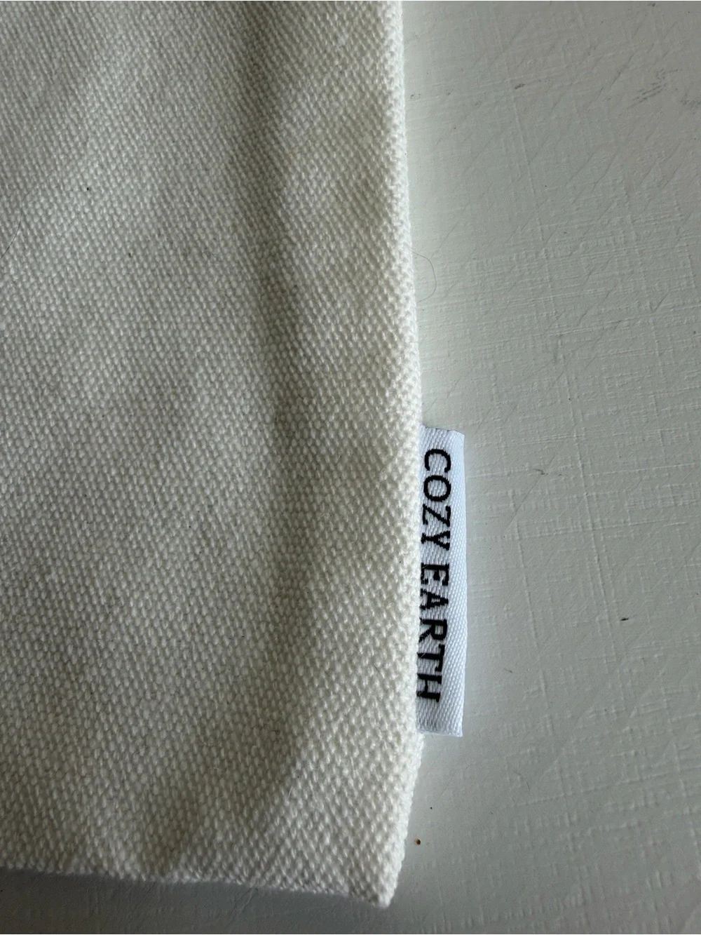 Cozy Earth Cream Canvas Organizer Bag / Pouch